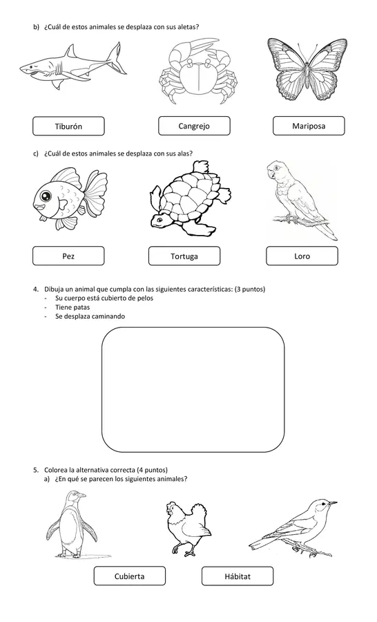 Prueba Animales y sus características 