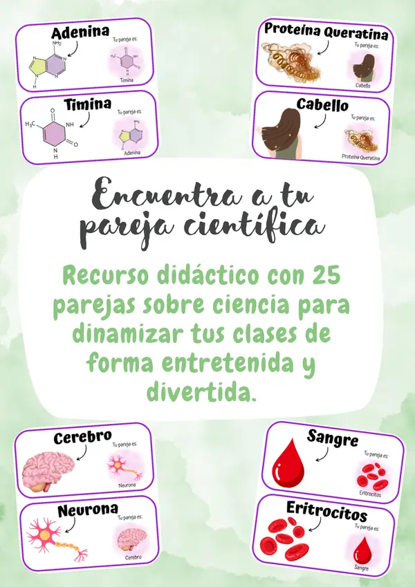 Encuentra a tu pareja científica 