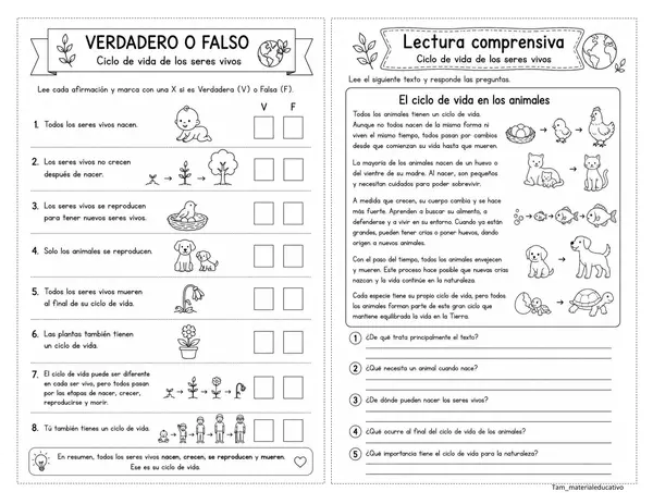 Ciclo de vida de los seres vivos 