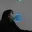 Javiera Francisca Valdivia - @javiera.francisca.val