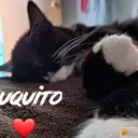 Ana Laura Salgado - @laurita.s.p