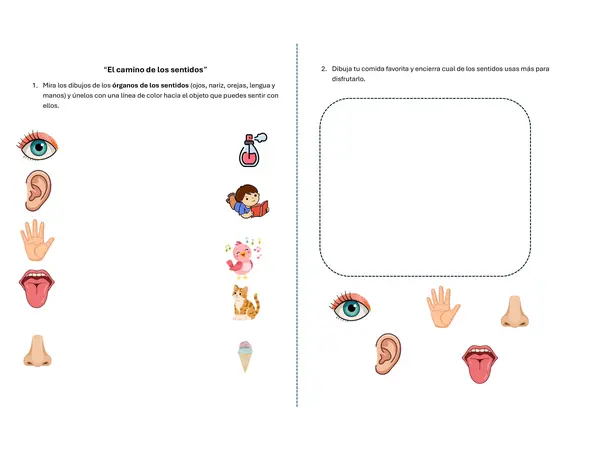 GUÍA: "El camino de los sentidos"