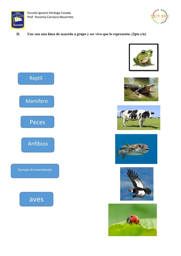 Evaluación de ciencias naturales: Vertebrados e invertebrados.