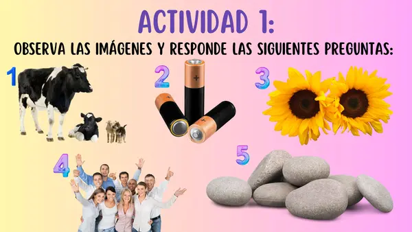 La célula