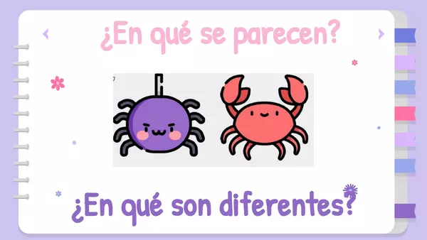 Semejanzas y Diferencias