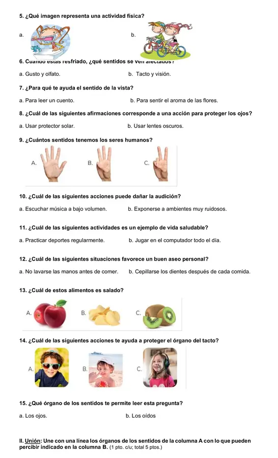 Evaluación de ciencias 1° básico "Lo sentidos y hábitos de vida saludable"