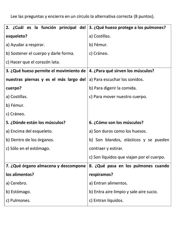 Prueba "El cuerpo humano: órganos, huesos y músculos"