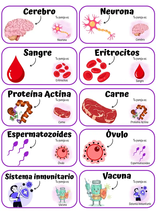 Encuentra a tu pareja científica 