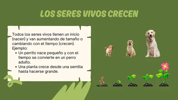 Características de lo seres vivos