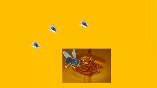 "Las moscas y la miel"