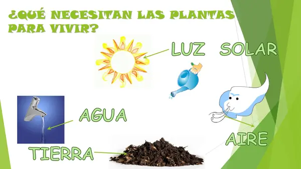 Estructura de la planta OAC 3