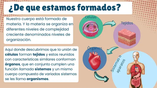 Como afecta el humo del tabaco en el sistema respiratorio