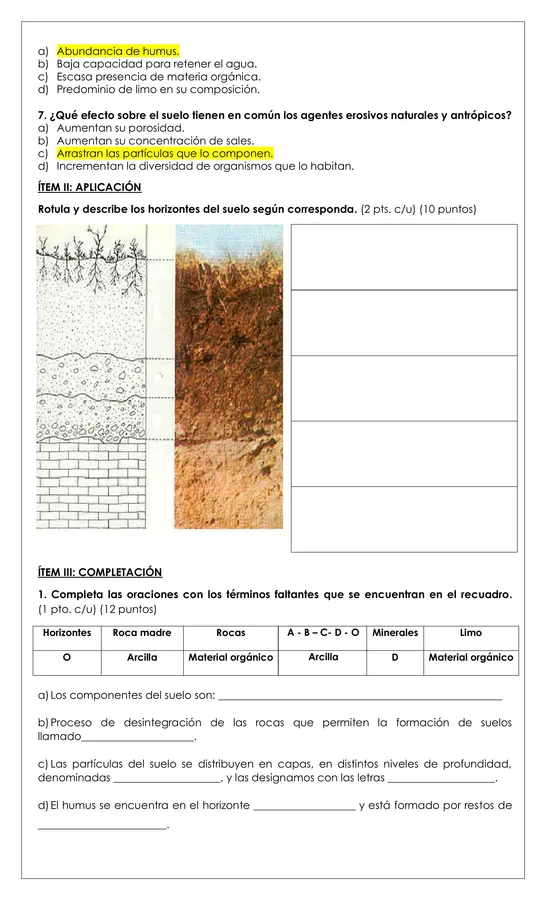 Prueba - El suelo