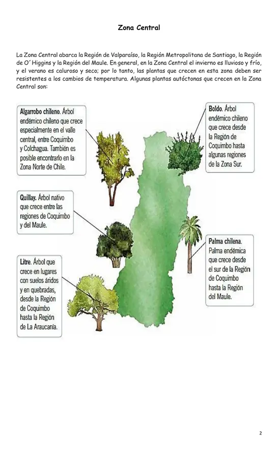 Plantas de mi país