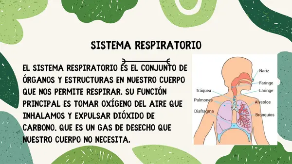 PPT Sistema Respiratorio y Sistema Circulatorio 
