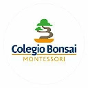 Básico Bonsai - @basico.bonsai