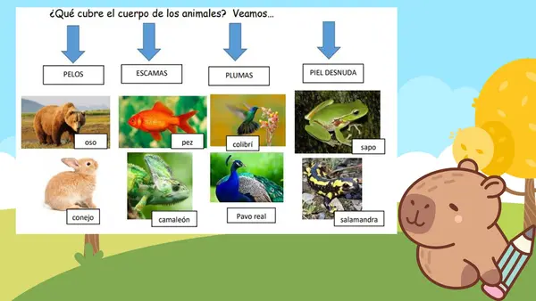 CARACTERISTICAS DE LOS ANIMALES - PRIMERO BÁSICO