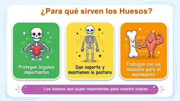 Ppt. Sistema Locomor (huesos y músculos) 