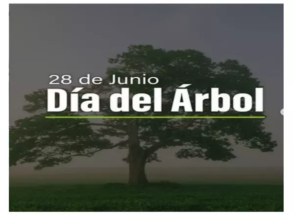28 de Junio: Día del árbol