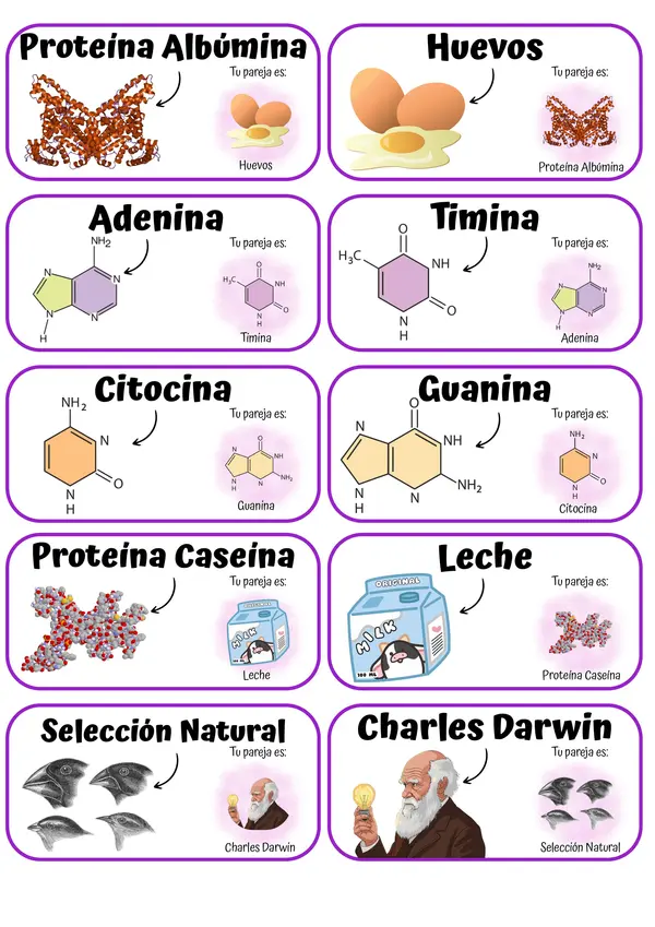 Encuentra a tu pareja científica 