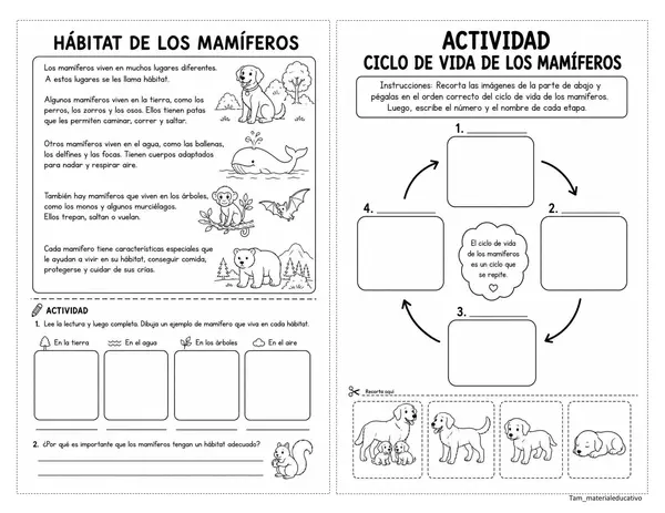 Ciclo de vida de los seres vivos 