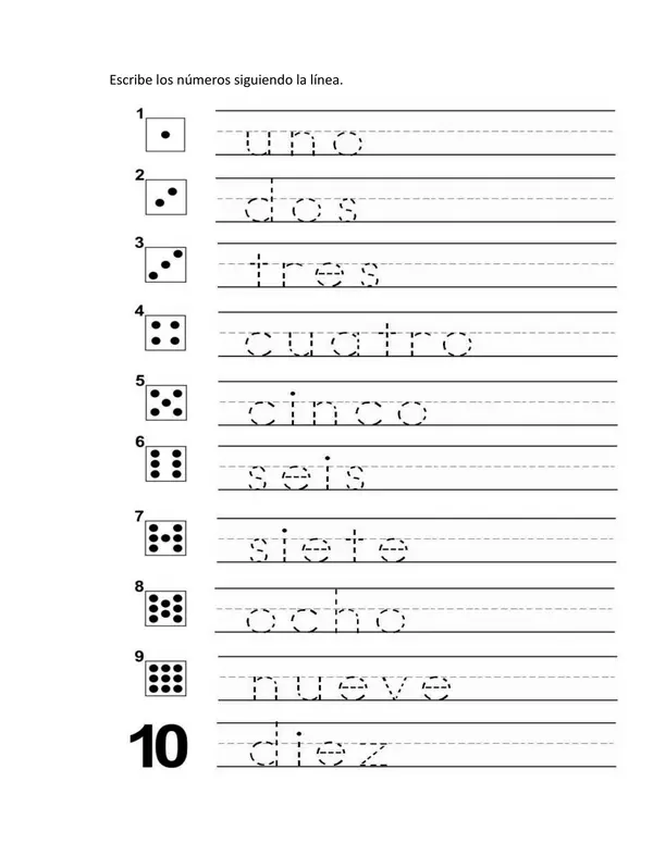 Cuarnillo de aplicación unidad 1 matemáticas primero básico 