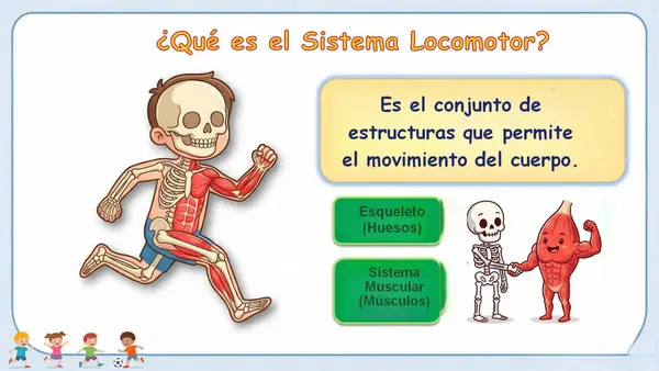 Ppt. Sistema Locomor (huesos y músculos) 