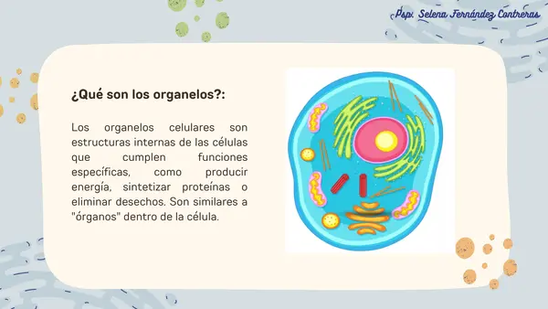 Organelos y Membrana