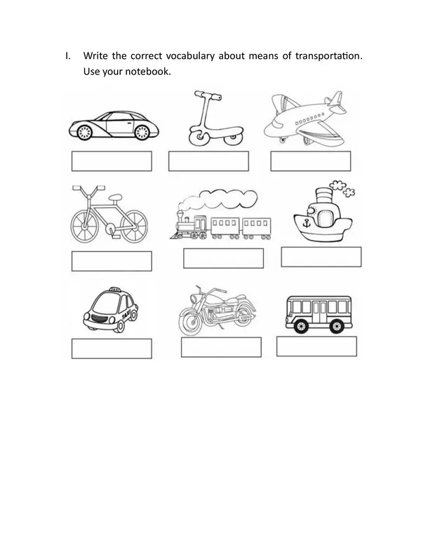 Means of transportation