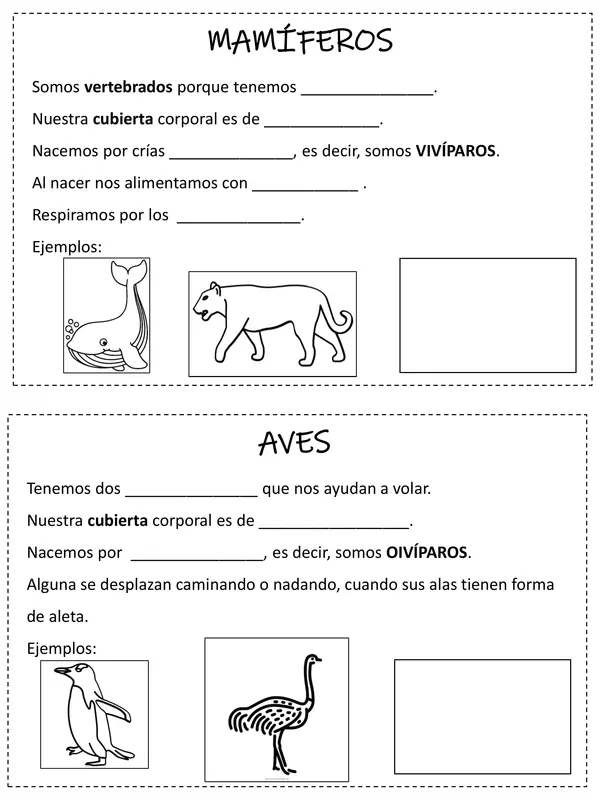 Clasificación de animales vertebrados