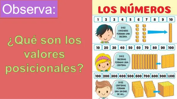 Valores posicionales 4to básico