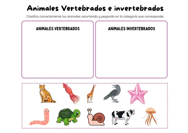 Animales vertebrados e invertebrados