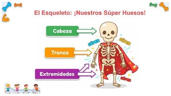 Ppt. Sistema Locomor (huesos y músculos) 