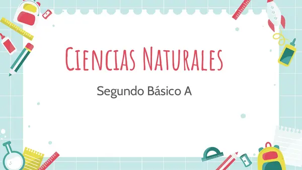 Modelo simple del movimiento del brazo 2° básico