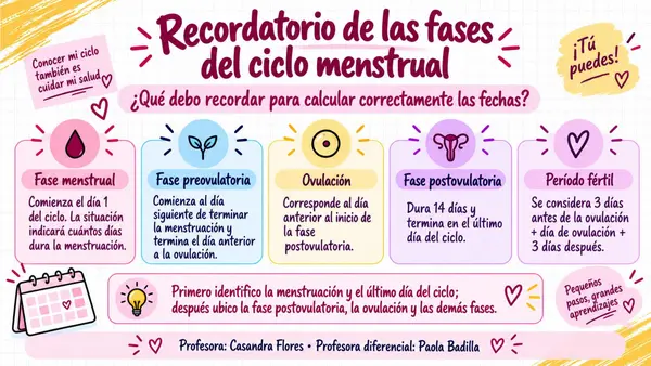 FASES Y CÁLCULO DEL CICLO MENSTRUAL