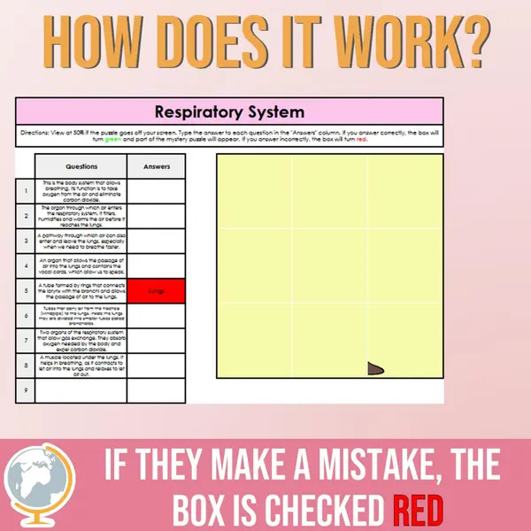 Respiratory System Mystery Puzzle