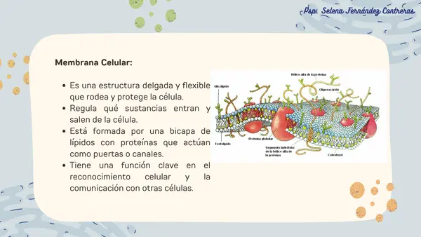 Organelos y Membrana