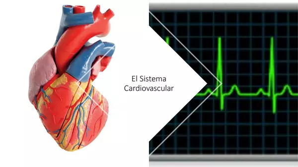 PowerPoint "El sistema cardiovascular"