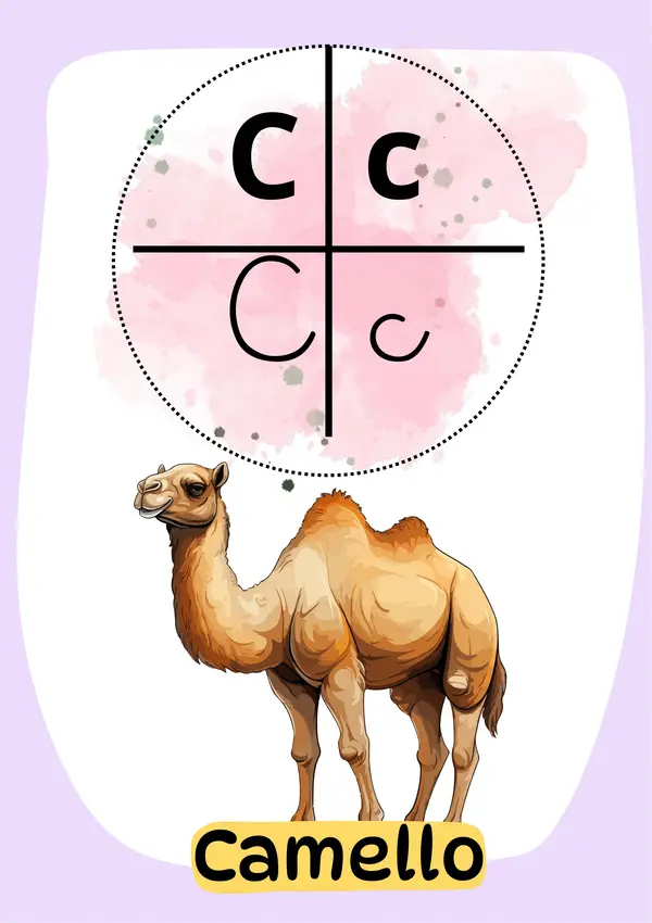 Abecedario 