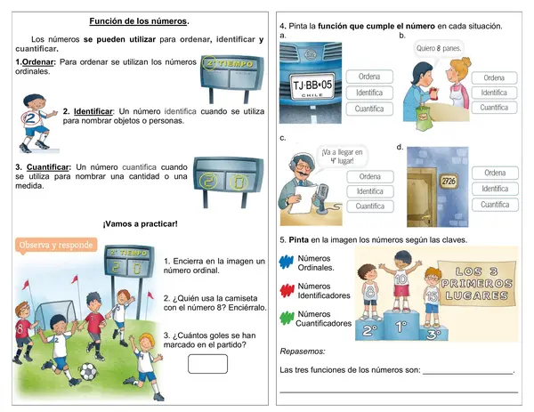 Guía 1° básico "Funciones de los números!