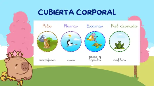 CARACTERISTICAS DE LOS ANIMALES - PRIMERO BÁSICO