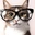 Reynaldo LL T - @reynaldo.ll.t