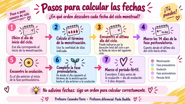 FASES Y CÁLCULO DEL CICLO MENSTRUAL