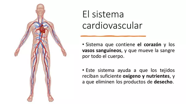 PowerPoint "El sistema cardiovascular"