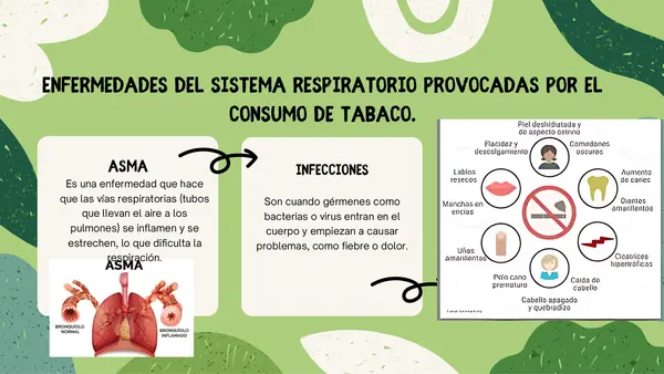PPT Sistema Respiratorio y Sistema Circulatorio 