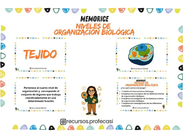 MEMORICE NIVELES DE ORGANIZACIÓN BIOLÓGICA DE LOS SERES VIVOS