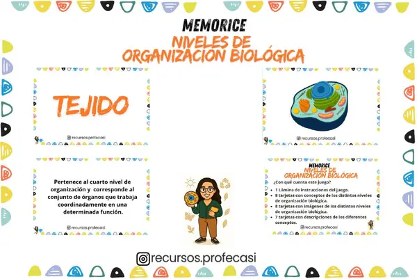 MEMORICE NIVELES DE ORGANIZACIÓN BIOLÓGICA DE LOS SERES VIVOS