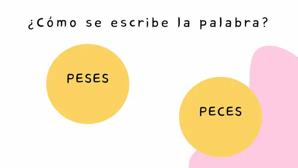 Uso de S, C y Z