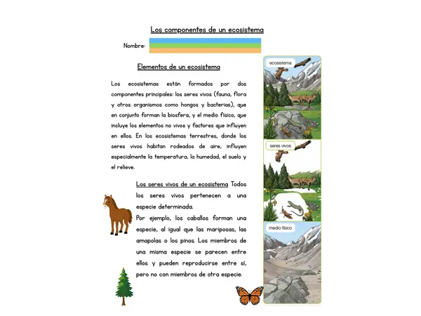 Todo sobre ecosistemas