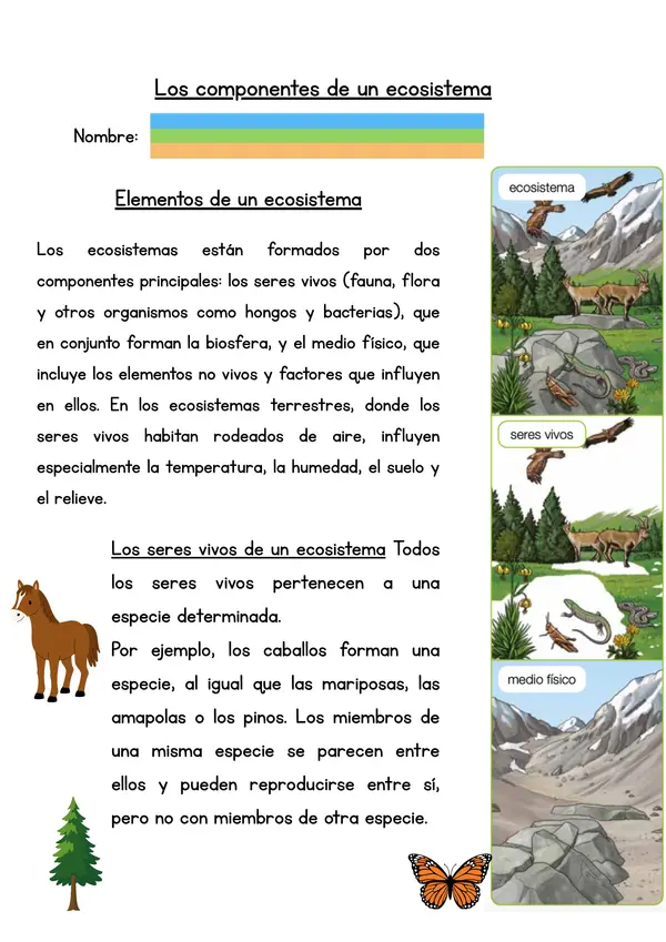 Todo sobre ecosistemas